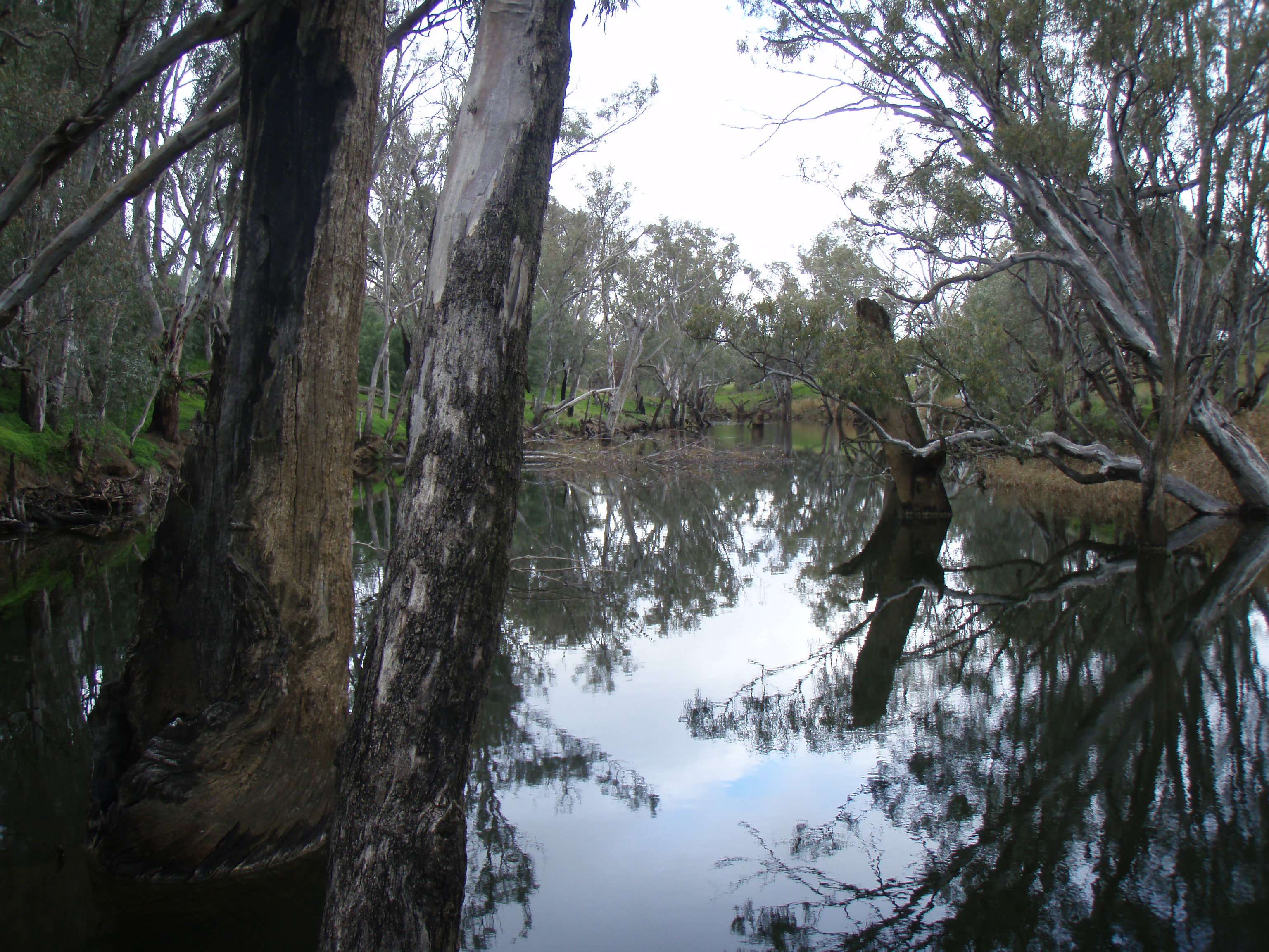 Loddon River at Bridgewater near Bedrock Outcrop Loddon River at Bridgewater near Bedrock Outcrop